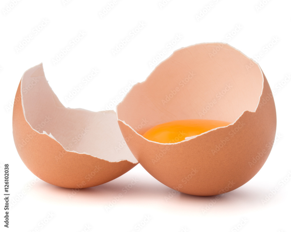 Broken egg in eggshell half isolated on white background cutout Broken egg in eggshell half isolated on white background cutout