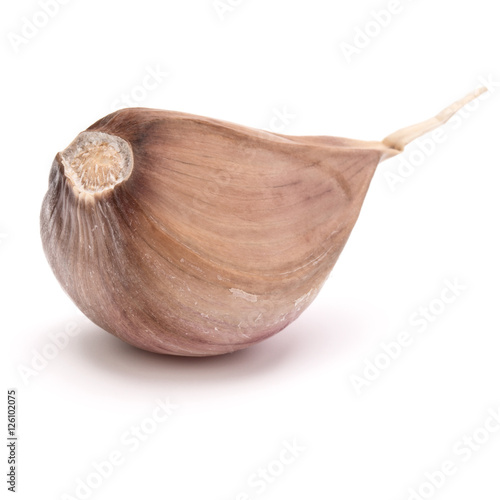 One garlic clove isolated on white background cutout