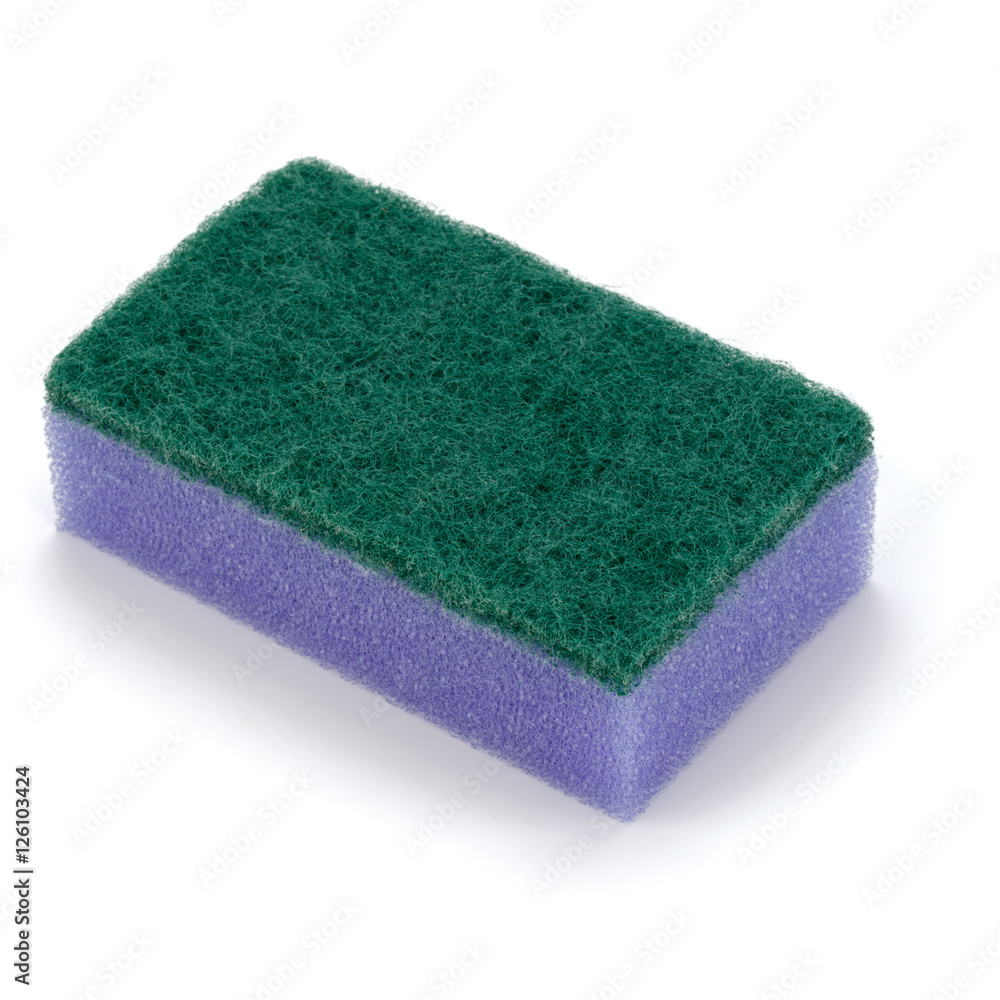 sponge isolated on white background cutout sponge isolated on white background cutout
