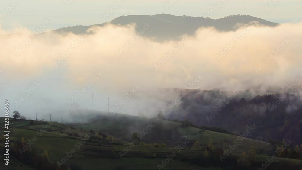 cold morning fog with golden hot sunrise in the rural area of Carpathian mountain range. green grass and trees with colorful foliage on the hillside meadow cold morning fog with golden hot sunrise in the rural area of Carpathian mountain range. green grass and trees with colorful foliage on the hillside meadow