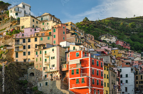 Riomaggiore (Cinque Terre) at golden hour