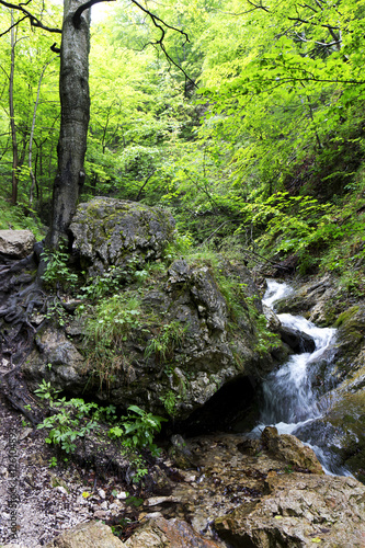 Little Fatra, the beautiful Mountains  in Slovakia