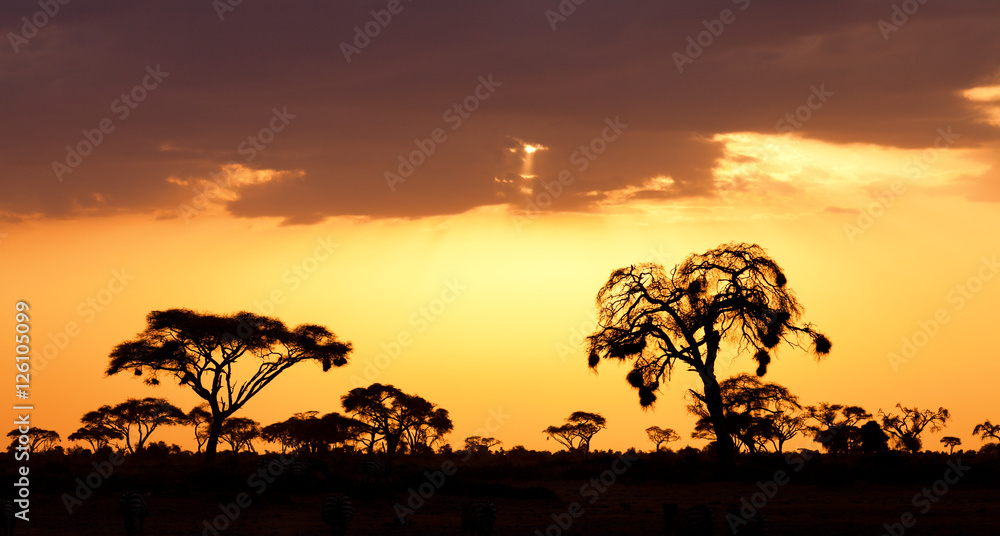 Typical african sunset with acacia trees in Masai Mara, Kenya