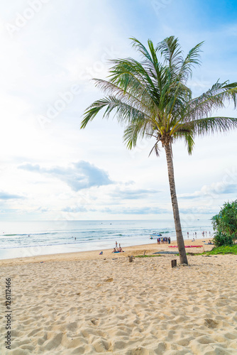 coconut tree with tropical beach
