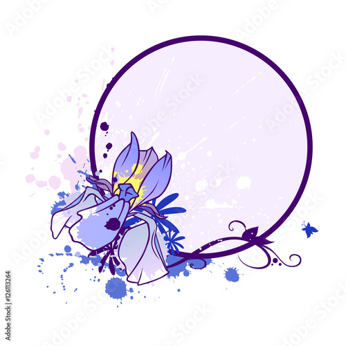 Fototapeta Naklejka Na Ścianę i Meble -  iris blank 2