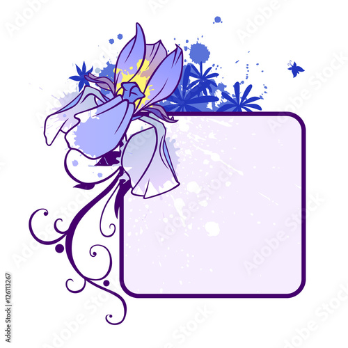 Fototapeta Naklejka Na Ścianę i Meble -  iris blank