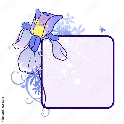 Fototapeta Naklejka Na Ścianę i Meble -  iris frame 3