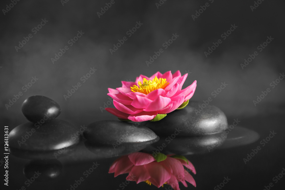 Fototapeta premium Spa stones with beautiful flower on dark background