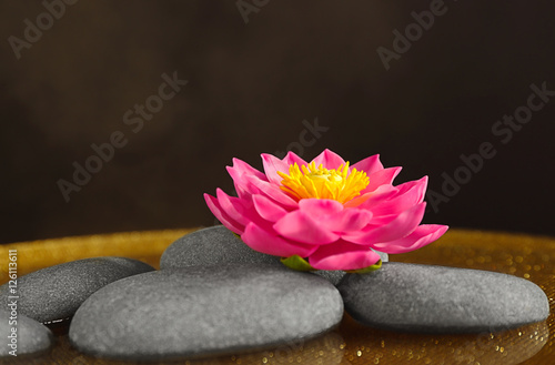 Spa stones with beautiful flower on color background