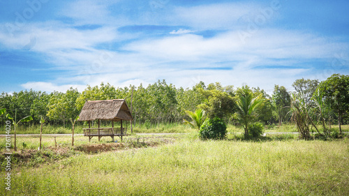 A hut at the countryside.