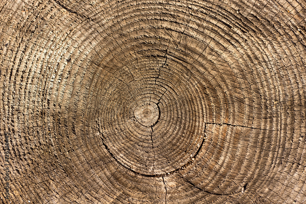 Naklejka premium Struktur