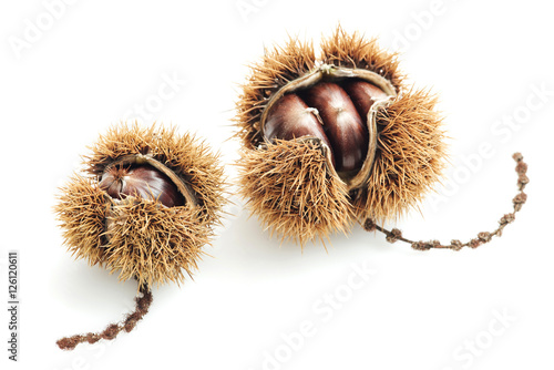 Food: sweet chestnut on white background