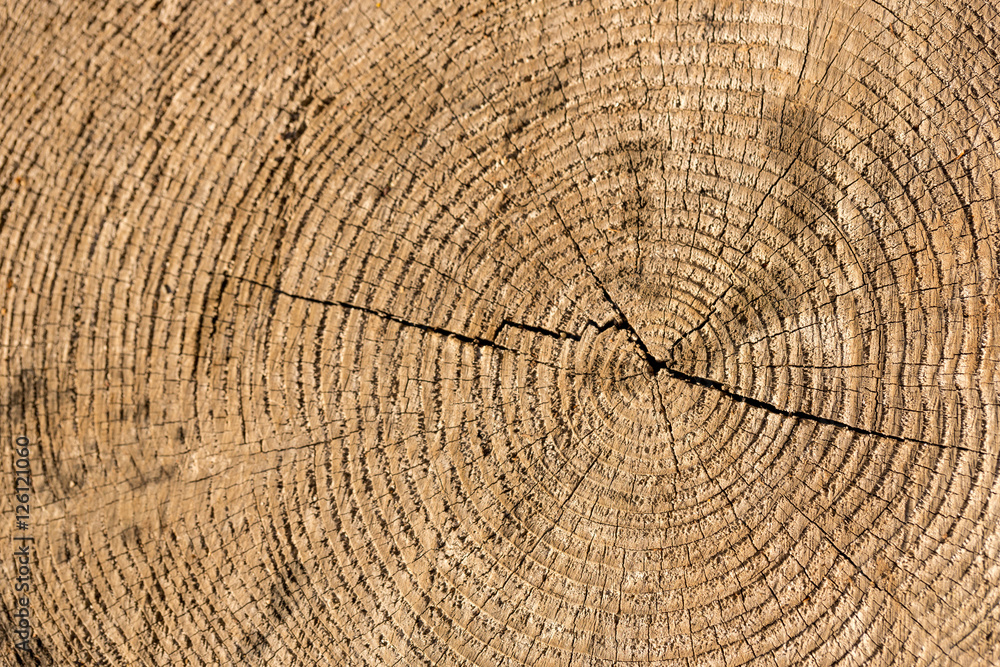 Fototapeta premium Struktur