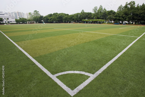 ground covered with turf