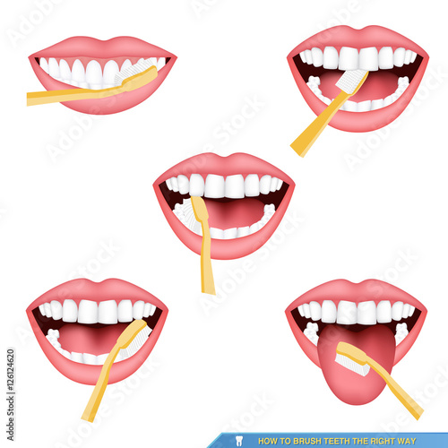 infographic of brushing teeth,  how to brush teeth the right way..