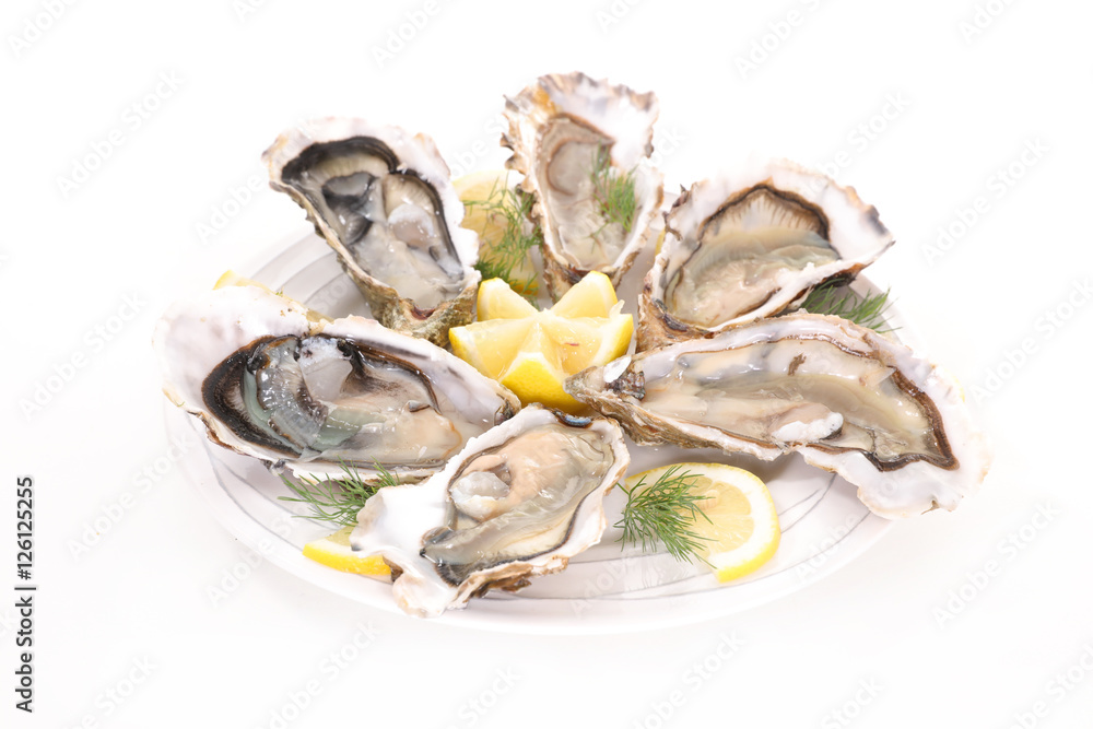 fresh oyster isolated on white fresh oyster isolated on white