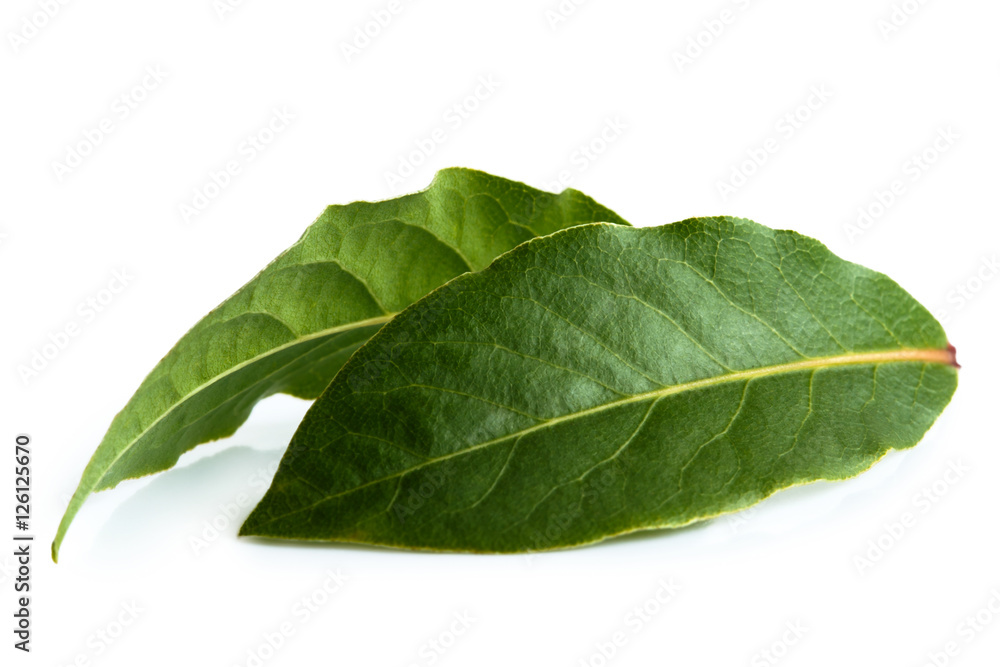 Obraz premium Two bay leaves isolated on white.