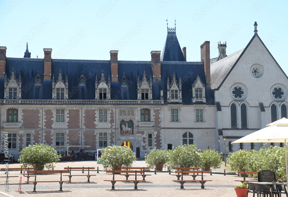 Fototapeta premium Schloss in Blois, Loiretal