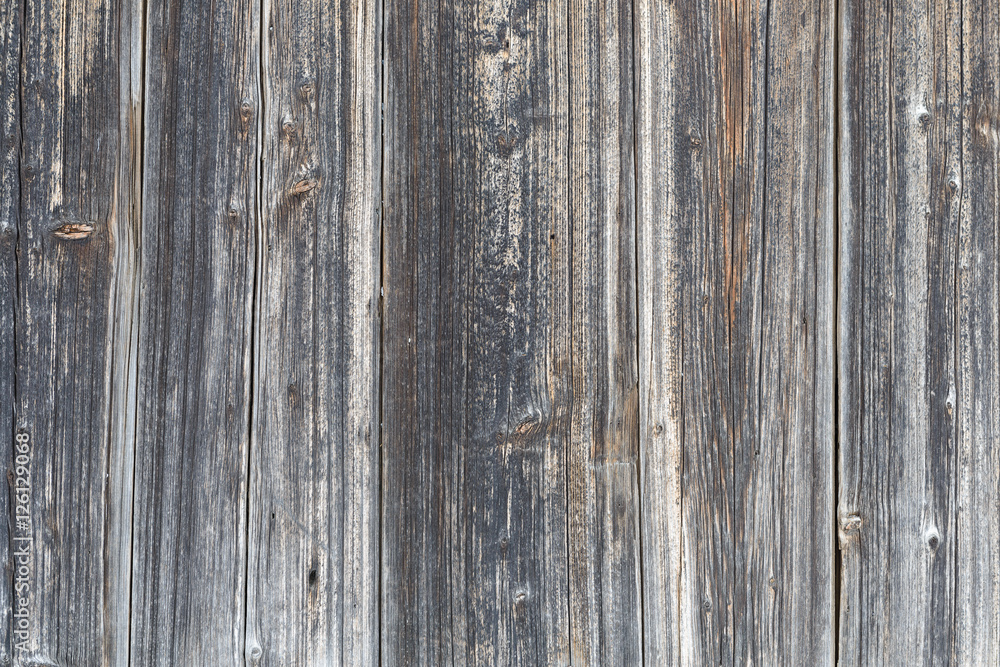 Fototapeta premium old cracked painted vertical planks gray