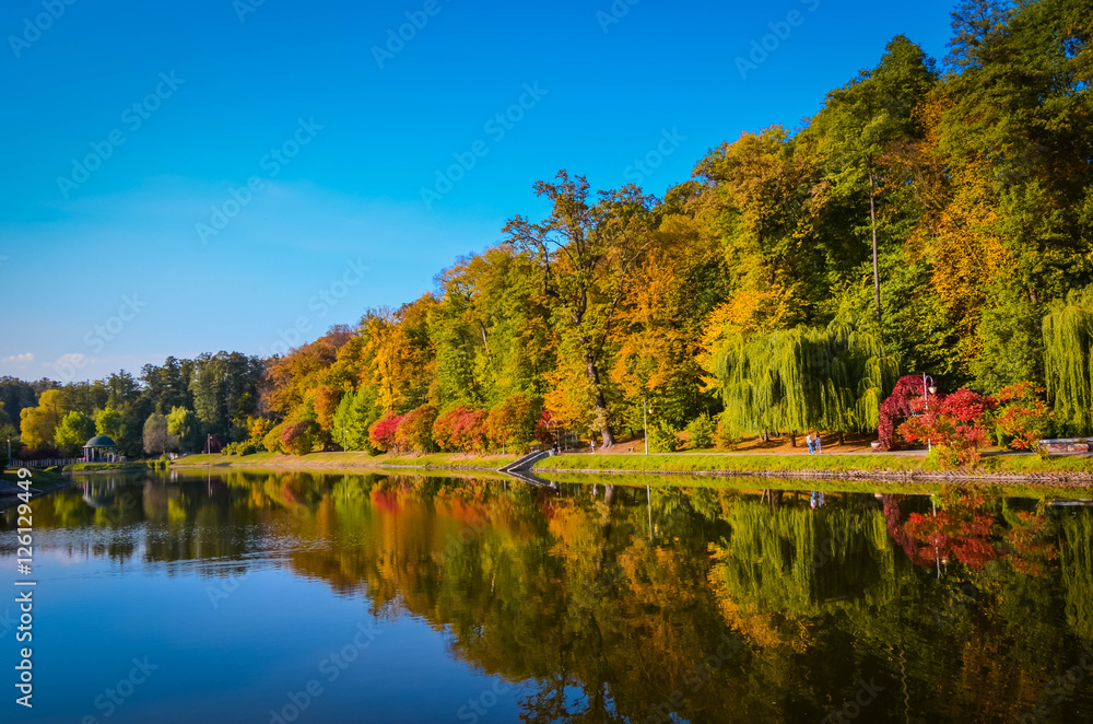 Autumn foliage, maple tree branches against lake and sky. Sunny day in park.