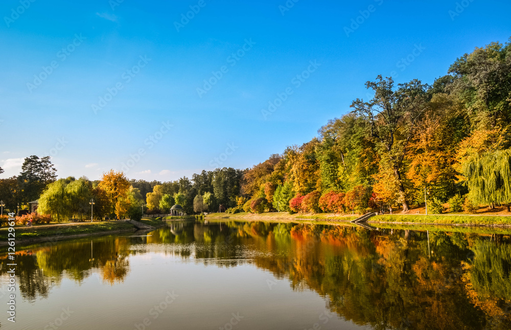 Autumn foliage, maple tree branches against lake and sky. Sunny day in park. Autumn foliage, maple tree branches against lake and sky. Sunny day in park.