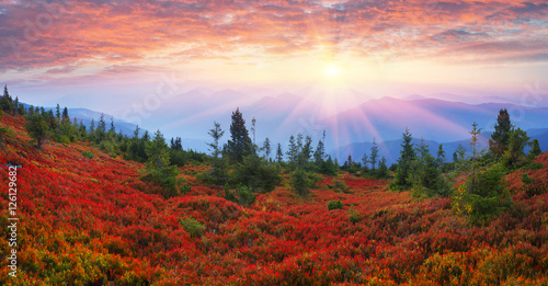 Autumn colors in the Carpathians