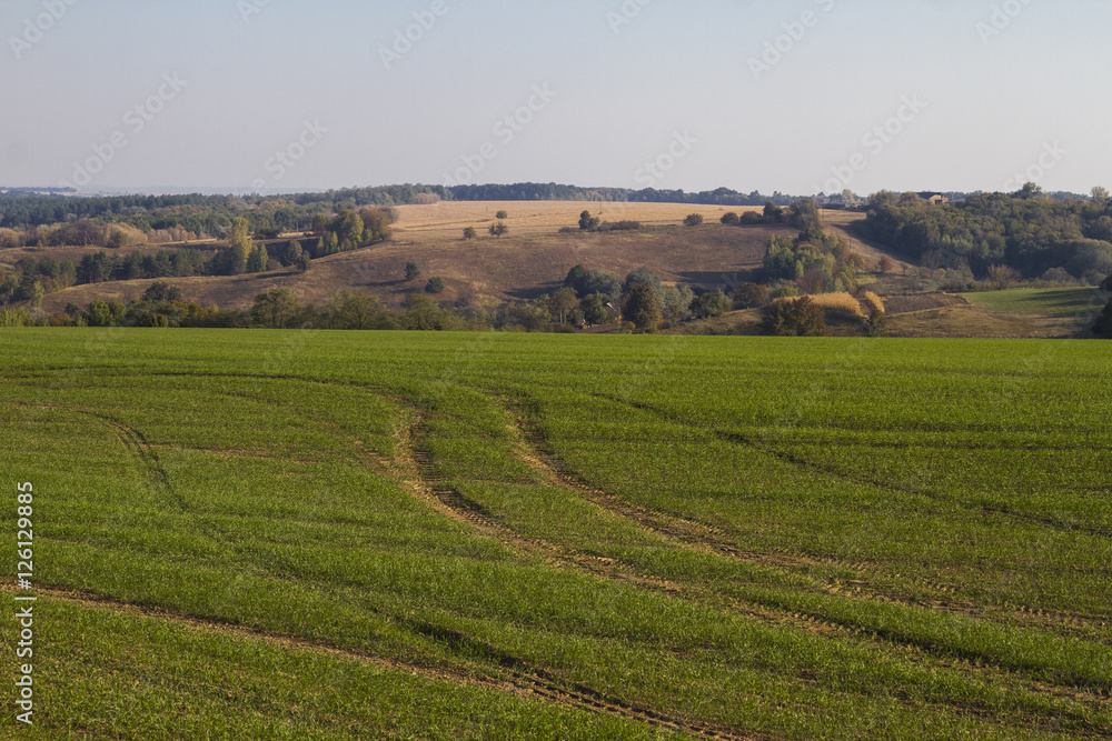 autumn country hilly landscape