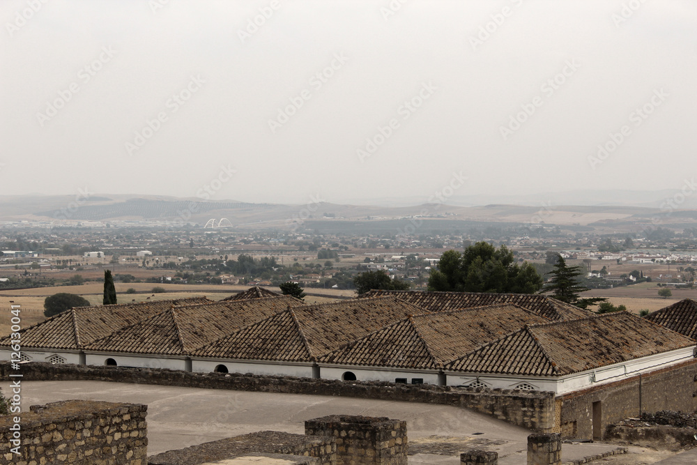 Fototapeta premium vintage historic architecture