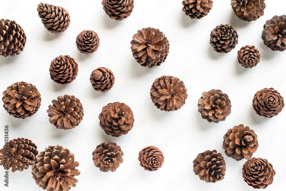 pine cones on white background.
pine cones on white background.