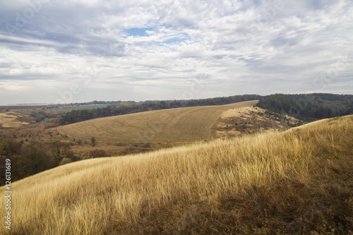 autumn country hilly landscape