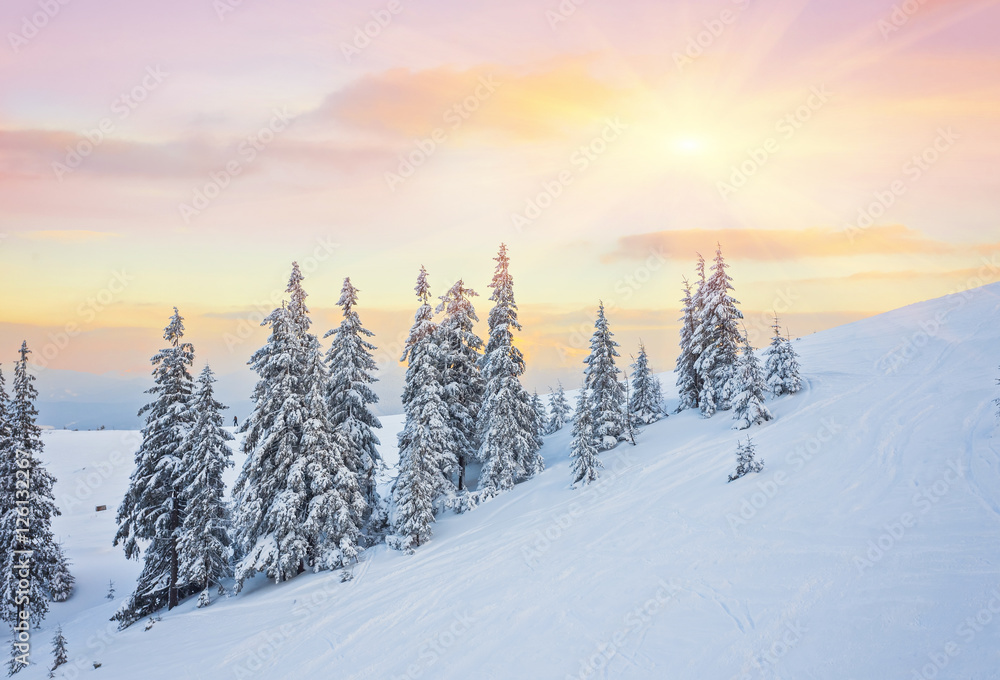 Fantastic evening winter landscape. Dramatic overcast sky. Creative collage. Beauty world. Fantastic evening winter landscape. Dramatic overcast sky. Creative collage. Beauty world.