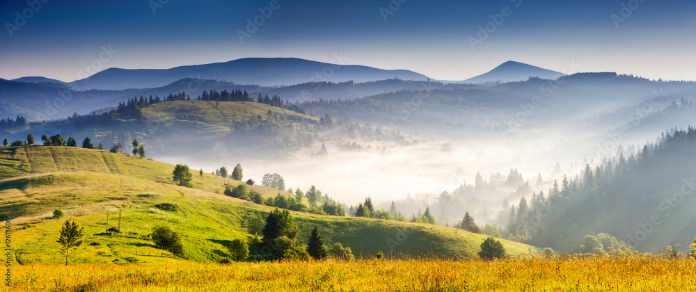 Summer landscape in mountains