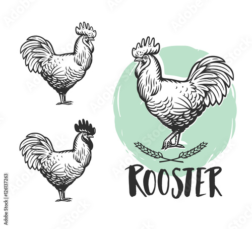 Rooster logotypes set. Hen meat and eggs vintage produce elements. Badges and design elements depicting Cock. Vector illustration.