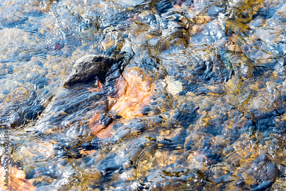 Fototapeta premium 川