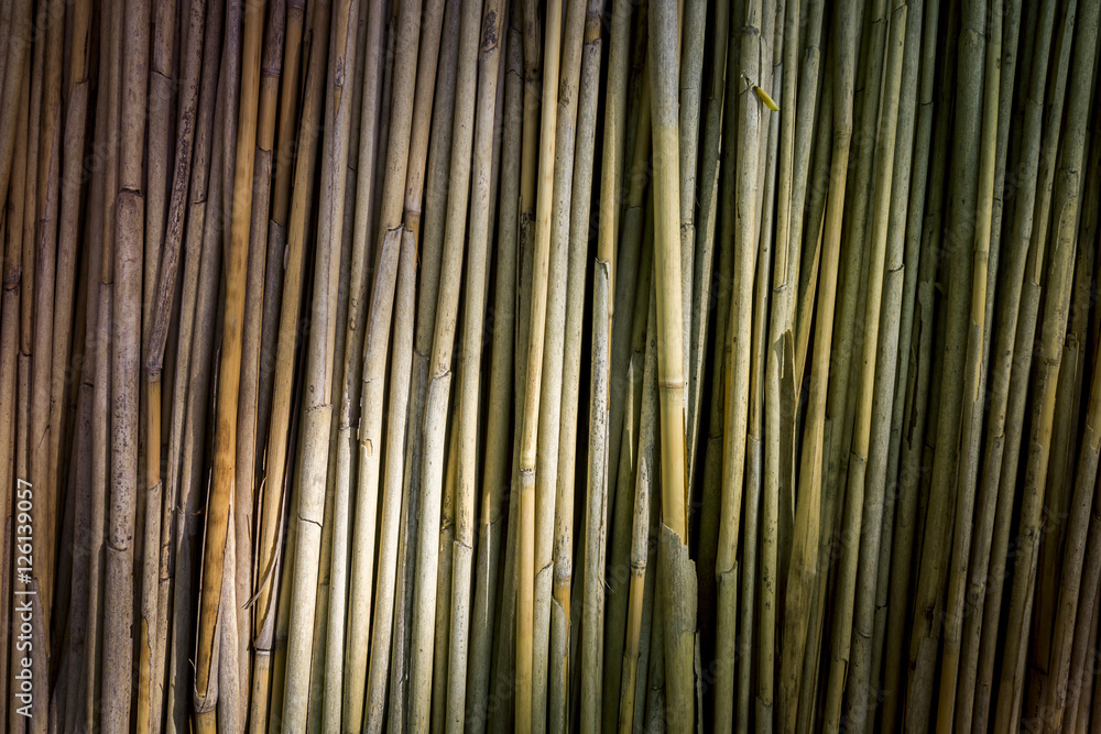 Dark Reed Background Stock Photo | Adobe Stock
