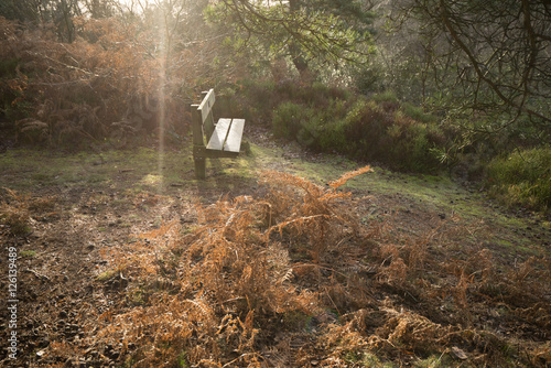 lickey hills photo