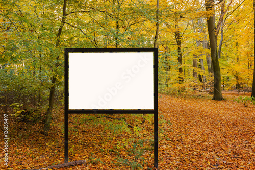 Empty billboard on forest trail