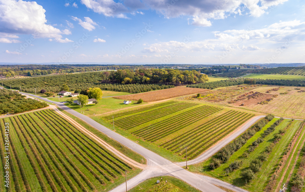 Aerial view of farmland and crops Aerial view of farmland and crops