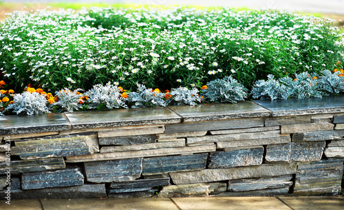 Photography Brick stone fence with flowers background