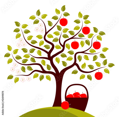 Canvas-taulu apple tree in two seasons