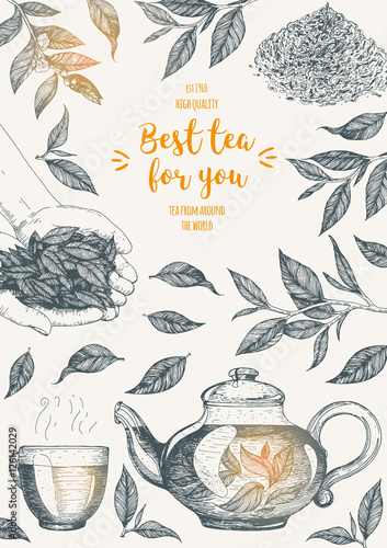 Vector illustration for Tea Shop. Vector card design with tea. Vertical poster for tea house. Vector hand drawn set. Linear graphic banner.