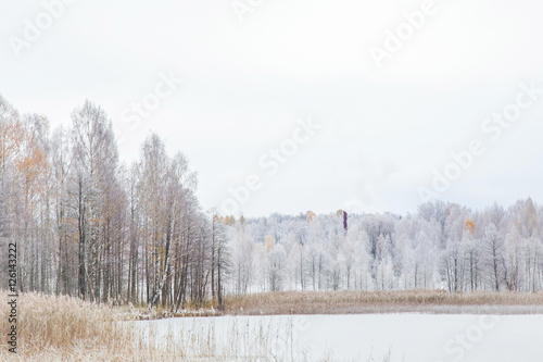 Nice winter day at lake after blizzard. Winter forest with trees covered snow. © fotoduets