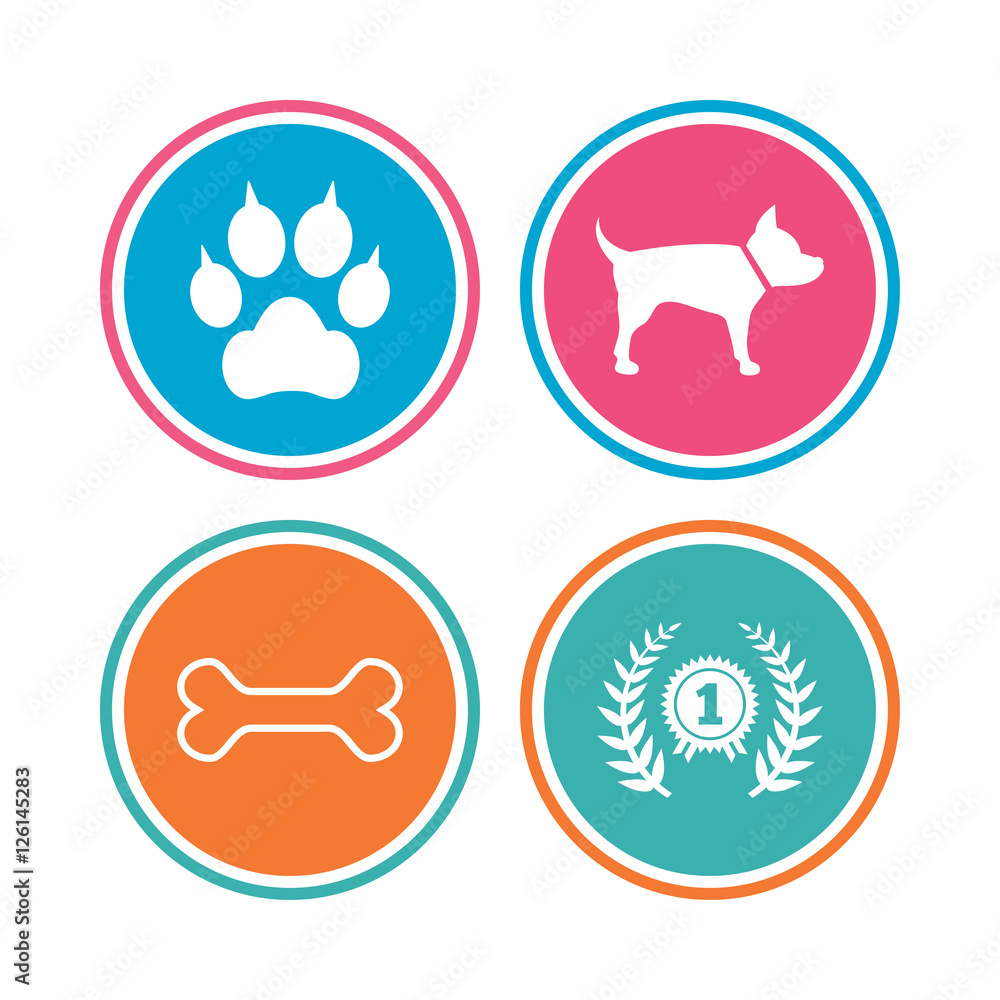 Pets icons. Cat paw with clutches sign. Winner laurel wreath and medal symbol. Pets food. Colored circle buttons. Vector Pets icons. Cat paw with clutches sign. Winner laurel wreath and medal symbol. Pets food. Colored circle buttons. Vector