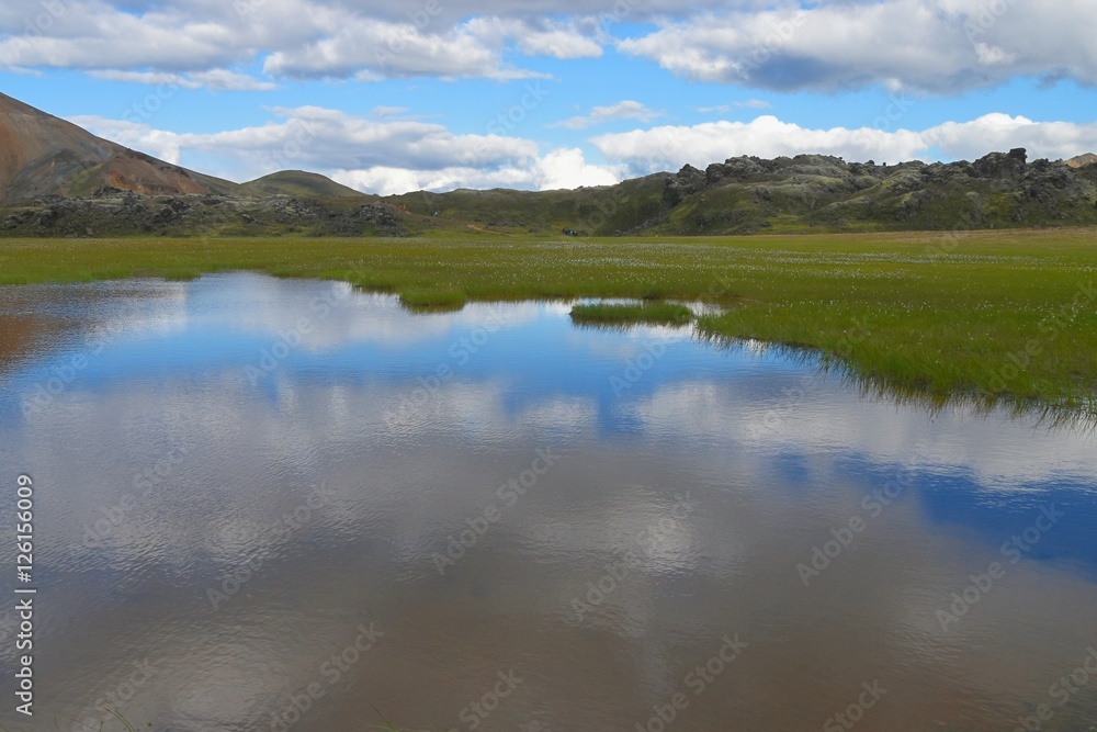 Feuchtwiesen im Hochland bei Landmannalaugar (Island)
