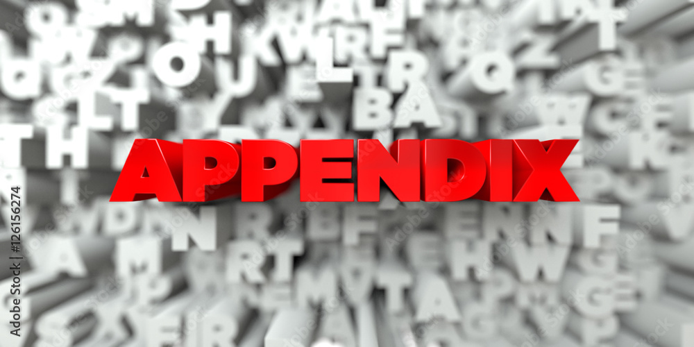 APPENDIX - Red text on typography background - 3D rendered royalty free stock image. This image can be used for an online website banner ad or a print postcard. APPENDIX - Red text on typography background - 3D rendered royalty free stock image. This image can be used for an online website banner ad or a print postcard.