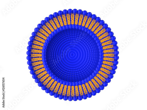 Medical 3D illustration of liposomes bi-layer structure isolated on white background