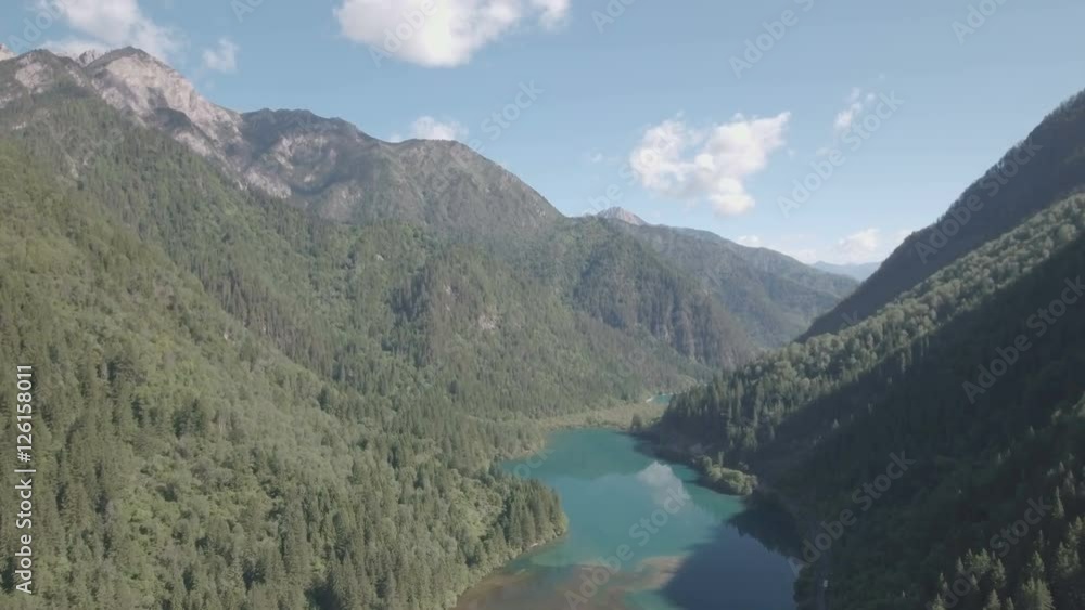 Pine tree forests aerial shot, Jiuzhaigou national park Pine tree forests aerial shot, Jiuzhaigou national park
