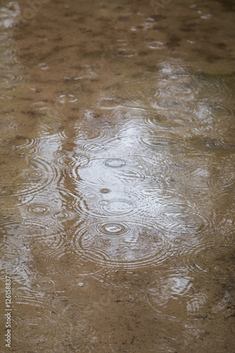 Close-up of concentric rings of ripples on a puddle.