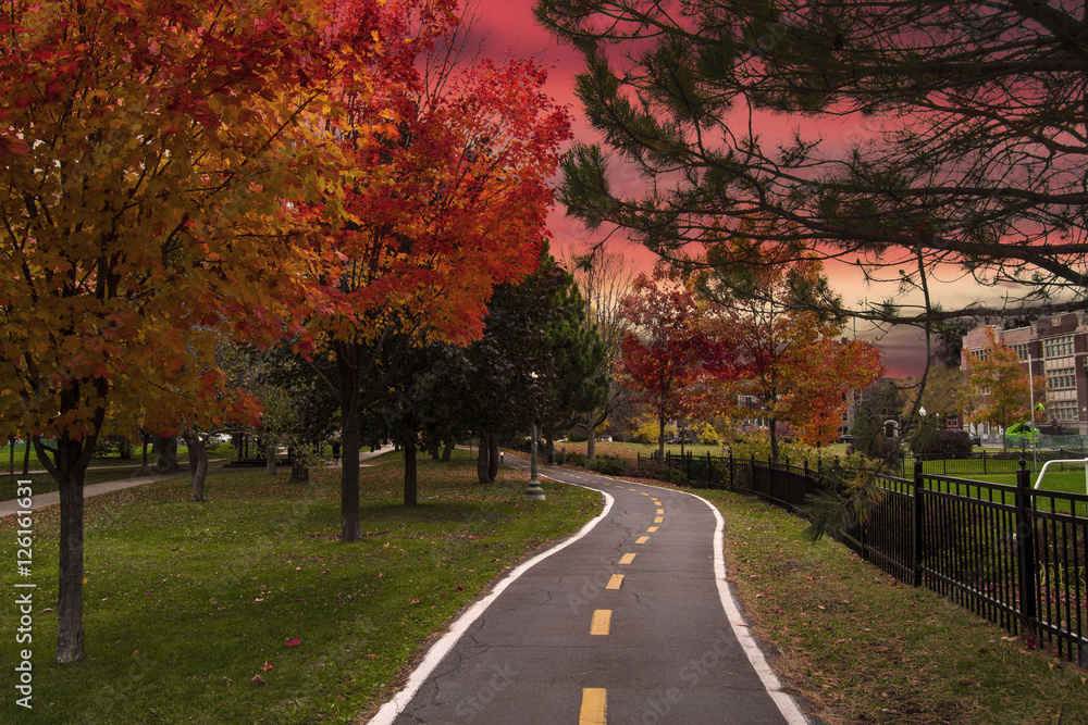 Naklejka premium autumn sky