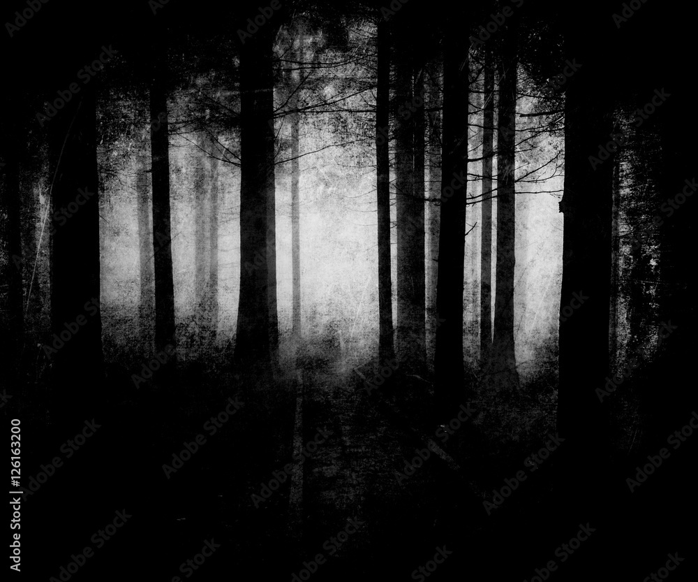 Black White Scary Halloween Forest Wallpaper Stock Photo | Adobe Stock